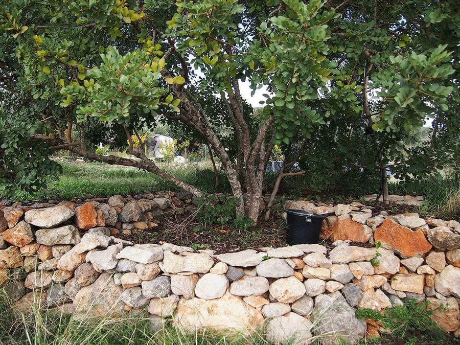 tree trunk in nature and surrounded by rocks on top of each other at Korogonas Ark with a bucket next to it